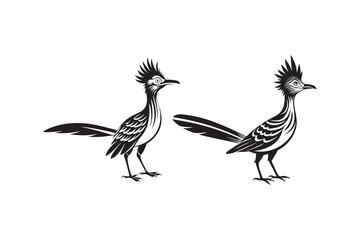 Greater Roadrunner  silhouette  vector bundle illustration, Greater Roadrunner  silhouette 
