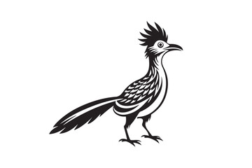 Greater Roadrunner  silhouette  vector bundle illustration, Greater Roadrunner  silhouette 