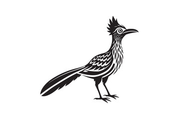 Greater Roadrunner  silhouette  vector bundle illustration, Greater Roadrunner  silhouette 