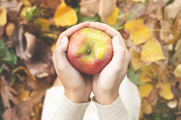 person holding a tasty apple in his hand on an autumn day sitting in a meadow