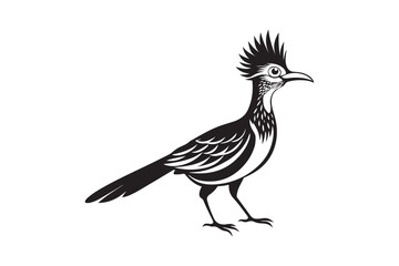 Greater Roadrunner  silhouette  vector bundle illustration, Greater Roadrunner  silhouette 