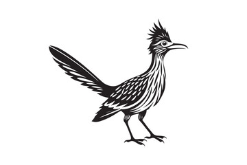 Greater Roadrunner  silhouette  vector bundle illustration, Greater Roadrunner  silhouette 