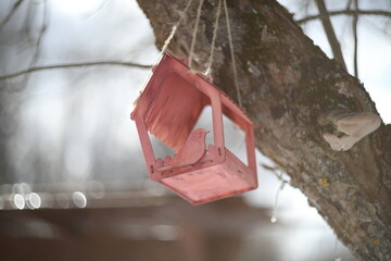 Close-up of a bird feeder on a tree under the snow in the forest.