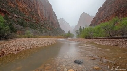 A misty,  foggy, and rainy scene of a river flowing through a narrow canyon with rock cliffs on either side and some trees in the foreground.