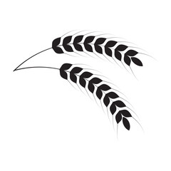 Wheat icon. Wheat and Rice icon. wheat with ears icon. vector illustration.
