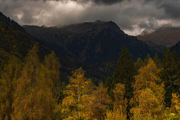view of autumnal forest in Trentino Alto Adige with warm colors
