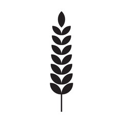 Wheat icon. Wheat and Rice icon. wheat with ears icon. vector illustration.