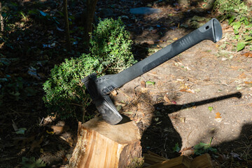 Close-up of big axe chopping oak stumps in the garden. Preparing firewood for a stove or fireplace for the winter.