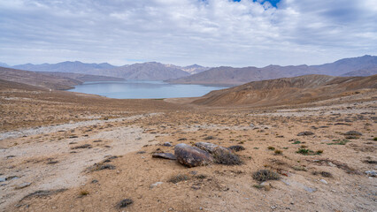 Pastel color landscape view of Yashilkul lake aka Yashikul on overcast summer day,...