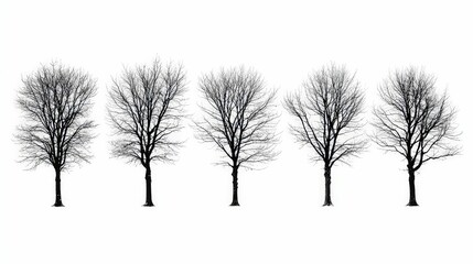 A row of silhouetted trees with intricate branches and no leaves, creating a stark and artistic monochrome effect.