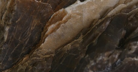 Close-up of Layered Brown and Beige Sedimentary Rock Surface