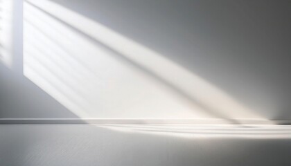 Pale gray wall with soft, cool morning light from nearby window.