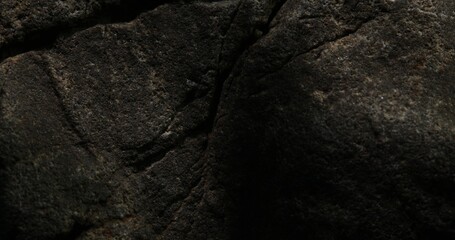 Cracked Dark Rock Surface with Textured Details
