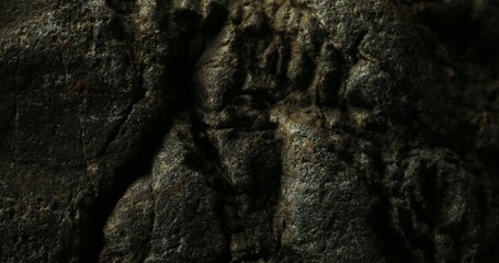 Dark Textured Rock Surface with Deep Crevices