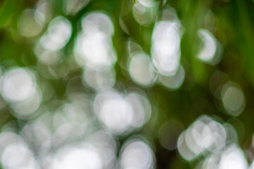 Obraz premium This photo is blurry and out of focus, but the bokeh and colors are beautiful with oranges, yellows, greens, and whites. It was taken in Myanmar with a high-resolution professional camera.