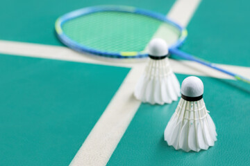 Cream white badminton shuttlecock and racket on floor in indoor badminton court, copy space, soft and selective focus on shuttlecocks.