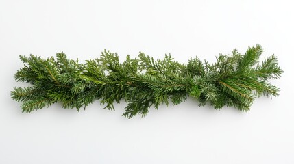 Green fir garland arranged in a straight line on a white background, focusing on natural textures and vibrant holiday greenery