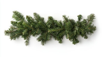 Straight arrangement of dense fir garland, with needles and branches detailed against a bright white background, perfect for holiday decor themes