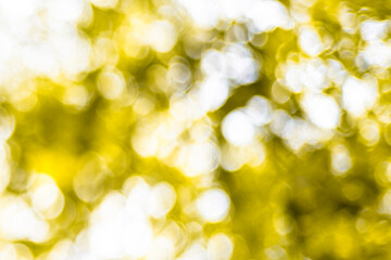 Obraz premium This photo is blurry and out of focus, but the bokeh and colors are beautiful with oranges, yellows, greens, and whites. It was taken in Myanmar with a high-resolution professional camera.