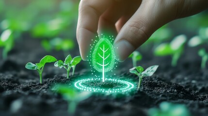 Nurturing sustainability how planting green initiatives can transform our environment