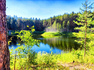 Fototapete bei efototapeten.de bestellen   