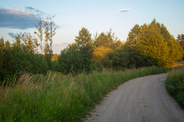 Warmińska łąka.  Okolice Jonkowa.
