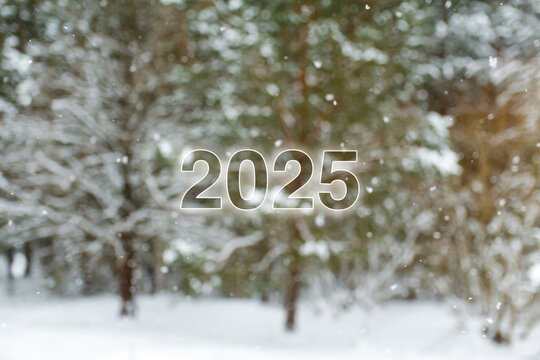Welcome to 2025! A blurred winter background with soft falling snowflakes, perfect for New Year themes. The design emphasizes freshness and renewal