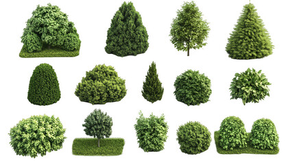 A collection of trees in various sizes and shapes