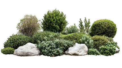 A row of trees with bushes in between