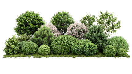 A row of trees with bushes in between