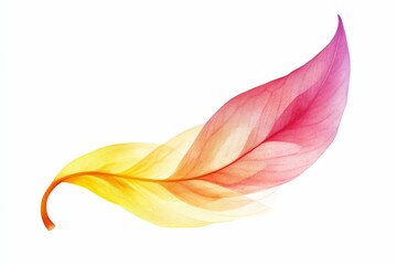 Obraz premium A single translucent leaf, yellow and pink.