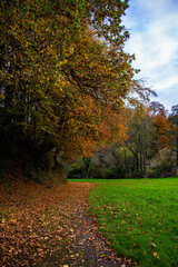 Fototapeta premium Golden autumn trees in the park