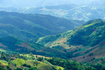 Obraz premium Lush Green Mountains with Rolling Hills and Terraced Fields Under a Clear Blue Sky in a Serene Natural Landscape Ideal for Relaxation and Adventure Travel