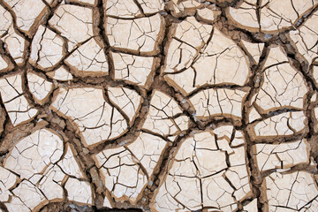 Cracked Dry Soil Texture Highlighting Drought Conditions, Ecological Challenges and Environmental...