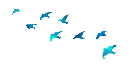 blue birds. A flock of flying blue birds. hand drawing. Not AI. Vector illustration.