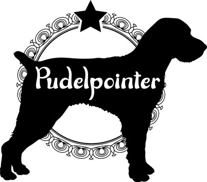 Pudelpointer. dog silhouette, dog, dog breeds, logo, vector, silhouette, logo design, animal, illustration, icon, sign, design, black, symbol, pet
