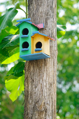 Colorful Wooden Birdhouse Nestled on a Tree Providing a Cozy Habitat for Birds, Surrounded by Lush Green Foliage in a Natural Outdoor Setting