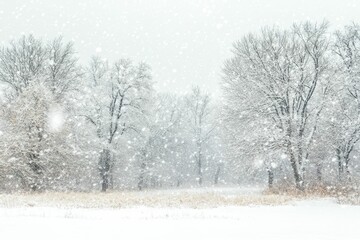Fototapeta premium Snow falling on bare trees and snow-covered ground.