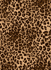 Leopard skin pattern, animal skin Seamless design