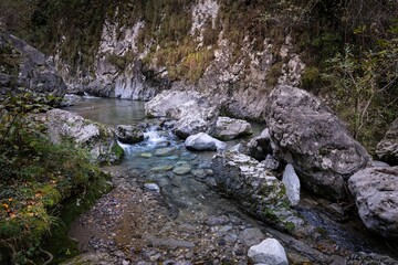 Mountain river in the autumn forest