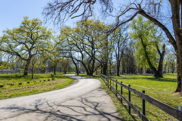 Road with a fence on the side and trees in the background