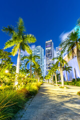 Miami skyline with skyscrapers at Maurice A. Ferré Park at night portrait format in Miami, United...