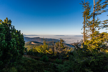 Góry, mgły i chmury w dolinach górskich jesienią w Beskidzie Żywieckim w Polsce. Widok ze zboczy góry Pilsko. © Franciszek