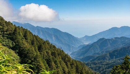 Naklejka premium The Scenic Alishan Mountain Range in Central Taiwan, Famous for Its Misty Forests, Sunrise Views, and Ancient Cypress Trees, a Popular Spot for Hikers and Nature Lovers