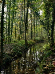 The Monza park at November