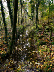 The Monza park at November