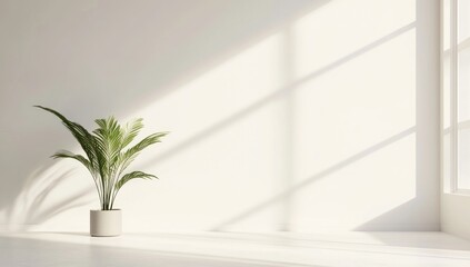 Sunlight Streaming through Window in Minimalist Room
