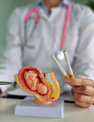 Harm of smoking and pregnancy and cigarette in hands of gynecologist. Children and women health...