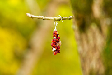 Handmade bracelet crafted from fresh red berries and seashells hanging delicately on a branch. Vibrant colors stand out against a blurred natural background in wild forest. Beauty in nature concept