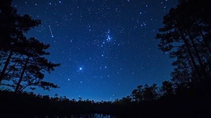 Stars shining brilliantly in the vast darkness, some forming subtle constellations in the tranquil night sky."